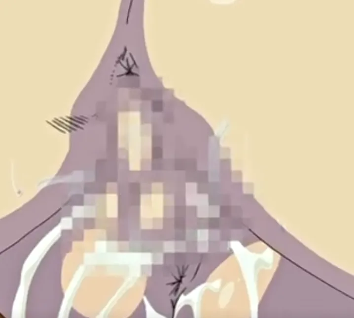 Secret Journey Episode 2